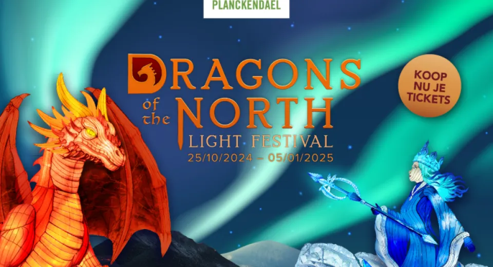 Dragons of the north - lichtfestival ZOO Planckendael