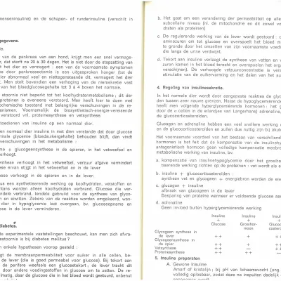 1972_Behandeling diabetes type 2 (2)