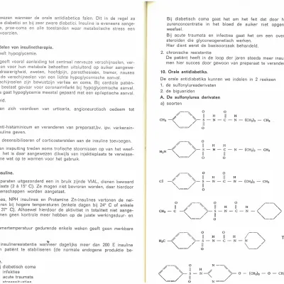 1972_Behandeling diabetes type 2 (4)