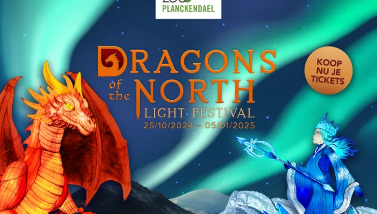 Dragons of the north - lichtfestival ZOO Planckendael